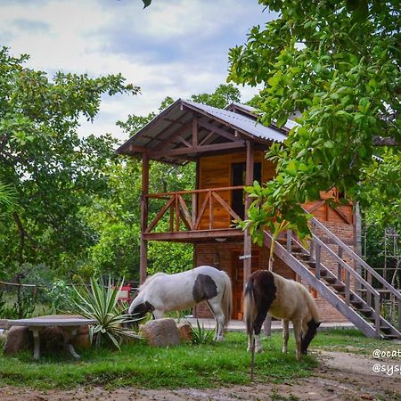 Oca Tocarijus Eco Resort Piracuruca Exteriér fotografie
